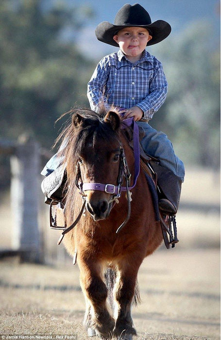 Ройс Гилл, двухлетний ковбой (Австралия)