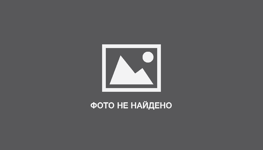 Polaria feirer 1,5 millioner bersøkende